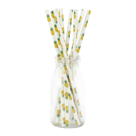 set de 10 pailles carton ananas 