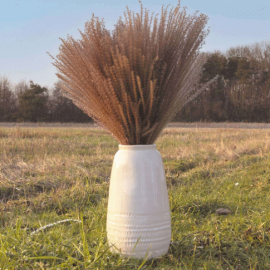 bouquet de 10 pampas light brun naturel