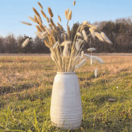 set de 30 bunny tails blanc naturel