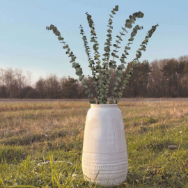 bouquet de 5 branches d'eucalyptus