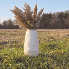 bouquet de 5 pampas brun naturel