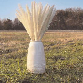 bouquet de 5 pampas doudou blanc naturel