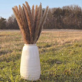 bouquet de 5 pampas doudou brun naturel