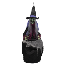 Sorcière avec chaudron animée pas cher