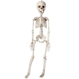 Déguisement femme Halloween sorcière - Costume violet avec chapeau s/m