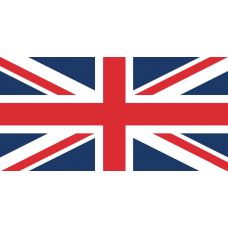 DS 45 / DRAPEAU DE SUPPORTER 30 X 20 Cm