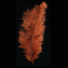 PATIKIL 12 Plumes D'Autruche Naturelles 30-35 Cm - Kit Luxueux Or Jaune Clair Pour Décoration Mariage, Artisanat Et Arrangements Floraux