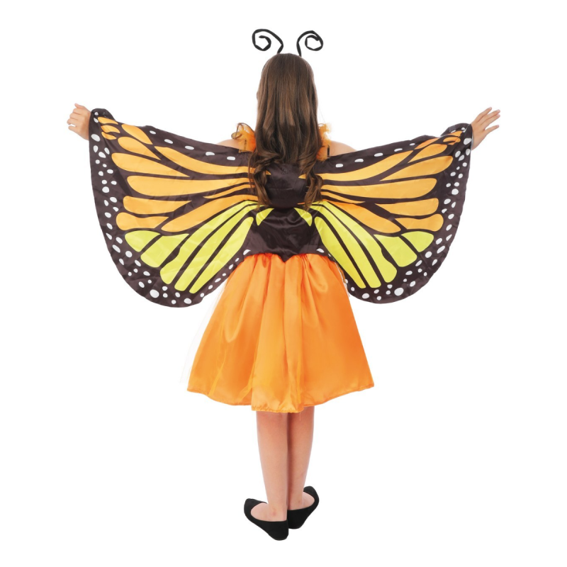 Costume de petit papillon pour fille
