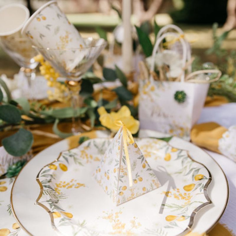 Lot De 24 Assiettes En Papier HNH Blanches Avec Feuille D'Or Argent - 23 Cm Jetables