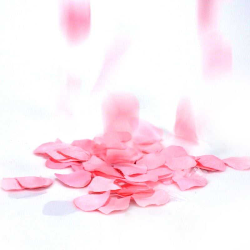 Pétales de roses synthétique en livraison - LuvBox