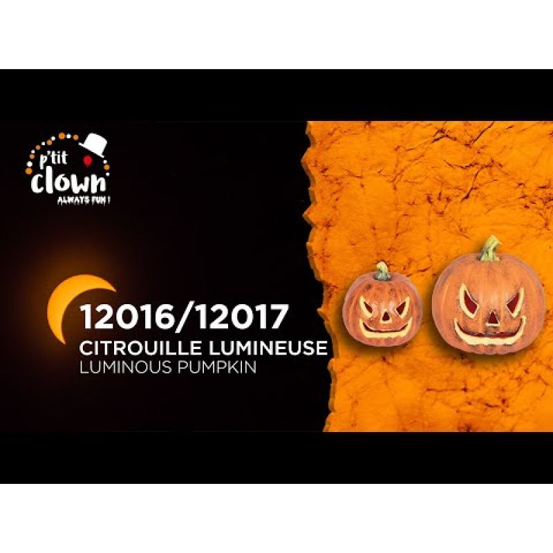 Lanterne citrouille avec lumière par 3,00