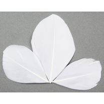 Rouleau papier crépon blanc - Vegaooparty