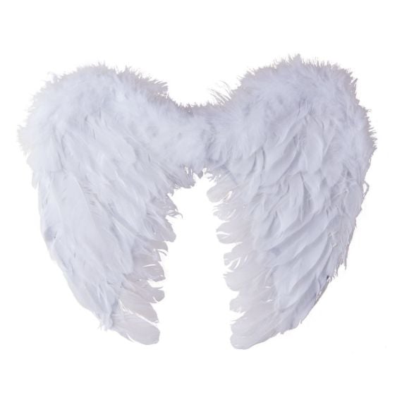 Ailes d'Anges en Plumes Blanc 40 x 32 cm - accessoire pour deguisement pas  cher - Badaboum