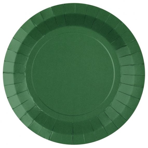 Lot De 20 Assiettes Plates Jetables Diametre 22 Cm Vert à Prix