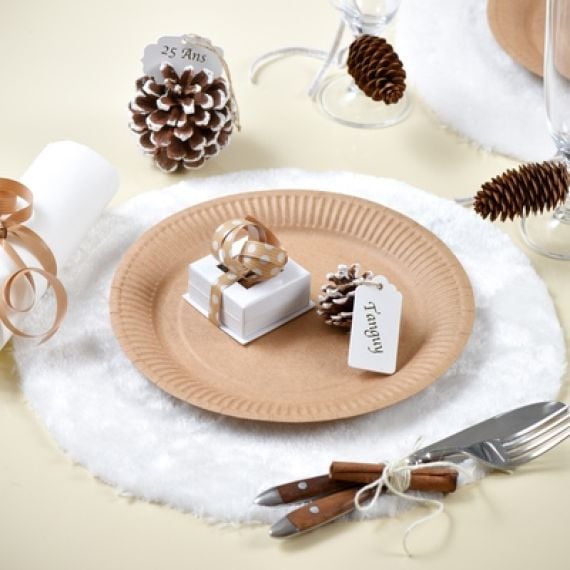 Assiette en carton kraft naturel 23cm, vaisselle jetable - Badaboum