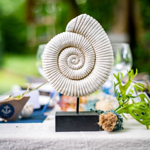 Centre de table Coquillage escargot sur socle pas cher - Badaboum