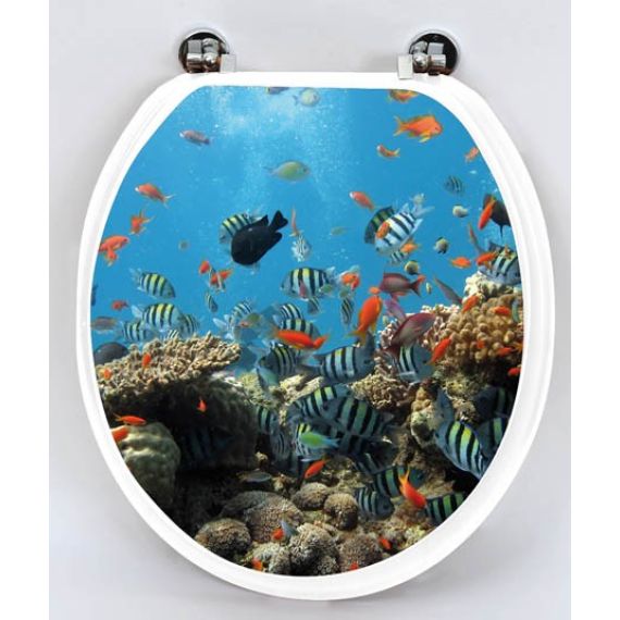 Cuvette wc poisson top