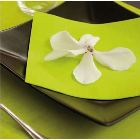 Sachet de 50 serviettes Cocktail - Vert Sapin - Jour de Fête - Papier -  Serviettes