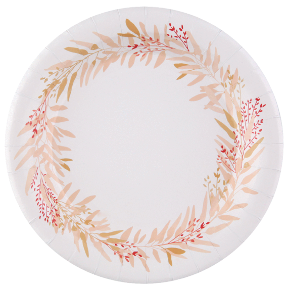 8 Assiettes En Papier Champions De Football 23cm