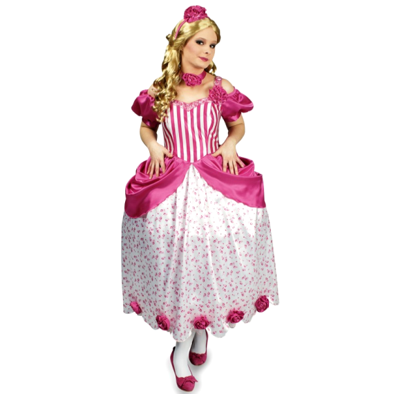 Deguisement Princesse Roses 4 Pieces Taille S pour Femme ou ado Badaboum
