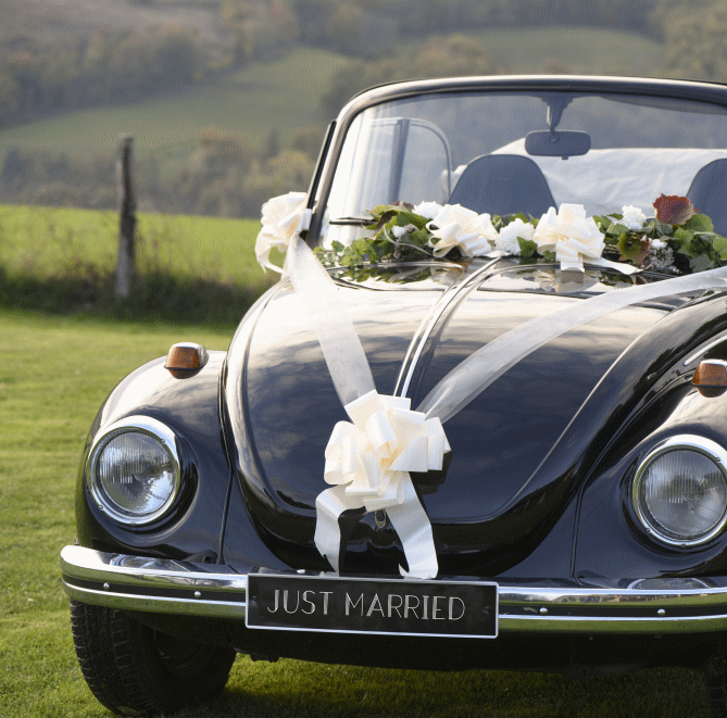 TMTGTS Grand Nœud Géant 30x30 Cm Noir - Décoration Noël, Mariage Et Voiture