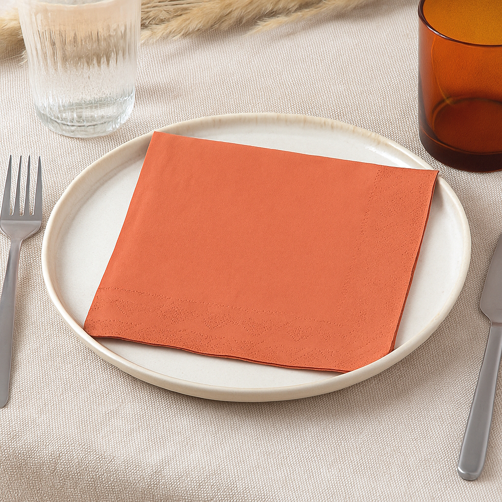 50 Serviettes en papier blanc 33 x 33 cm 2 plis 50 Serviettes en papier blanc 33 x 33 cm 2 plis