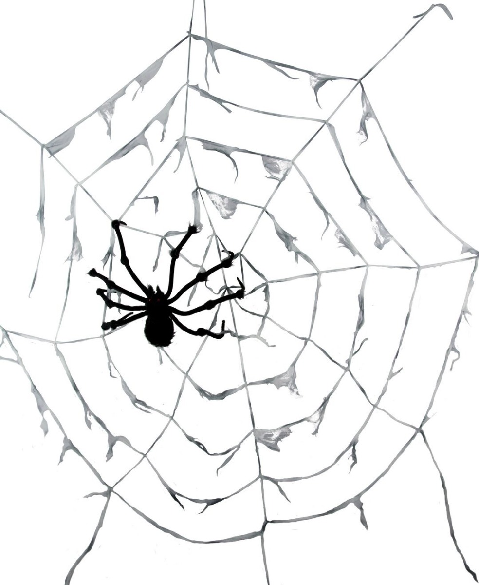 Ensemble Décoration Halloween Toile D'Araignée Géante 360cm Avec 2 Araignées + Soie D'Araignée + 10 Petites Araignées - Pour Cour Et Maison - 3
